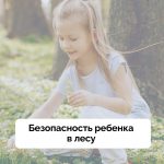 Походы за грибами и ягодами с бабушкой и дедушкой