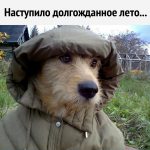 Жизнь продолжается