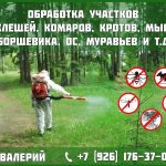 Услуги по дезинсекции от Валерия
